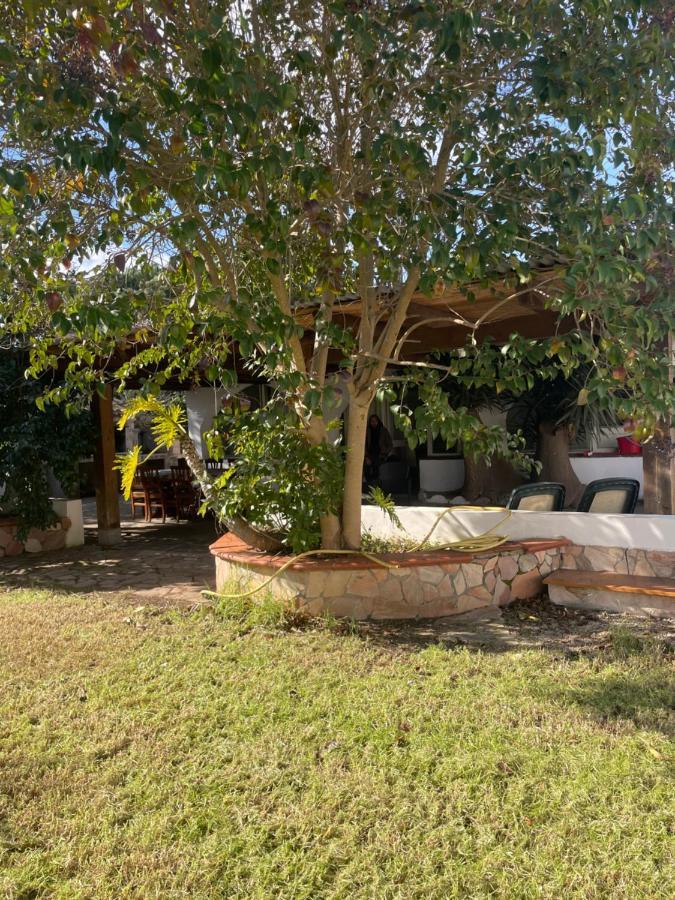 Roy House Alghero Exterior foto